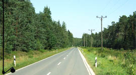 Strasse durch den Südlichen Reichswald Strasse durch den Südlichen Reichswald